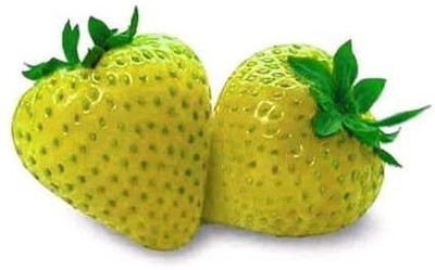 WILLVINE Yellow Wonder Alpine Strawberry Seeds-[125 Seeds] Seed(125 per packet)
