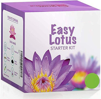 VibeX ® VXI-252 Lotus/Water Lily Seeds Seed(25 per packet)