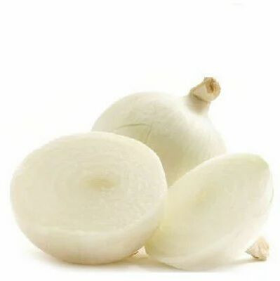 XOLDA Organic Onion white Seed(25 per packet)