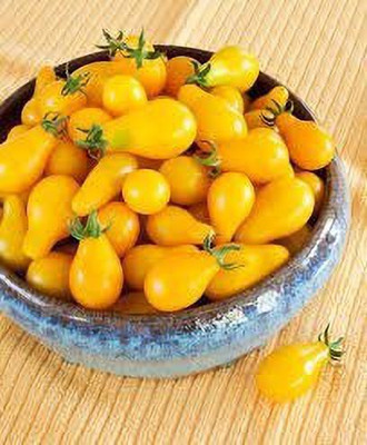 MAA Pear Seed(13 per packet)