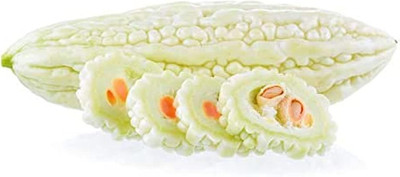 KNESSiN Bitter Gourd White Seed(50 per packet)