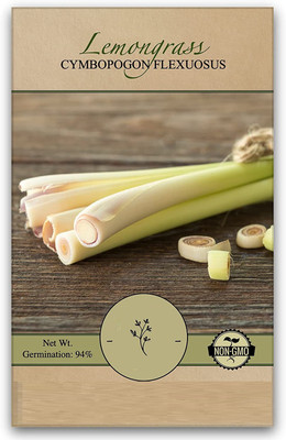CYBEXIS NDIR-68 - Insect Repellent Lemon Grass Plant Seed(2250 per packet)