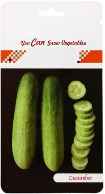 WILLVINE Cucumber F1 Hybrid Vegetable Seed -[500 Seeds] Seed(500 per packet)