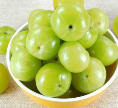 Arshiayat Gooseberry,seeds,Fruit,Amla Seed(74 per packet)