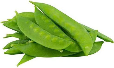 VibeX ® RXI-544 Dwarf Grey Sugar Pea Seeds Seed(50 per packet)