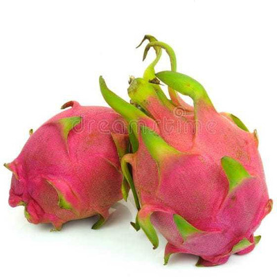 Oliver imported@ hybrid dragon fruit seed Seed(180 per packet)