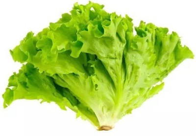 Avysa Organic Iceberg Lettuce Seed(250 per packet)