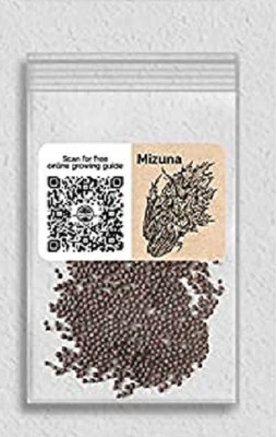 CYBEXIS LX-98 - Mizuna - Lime Streaks - (1350 Seeds) Seed(1350 per packet)