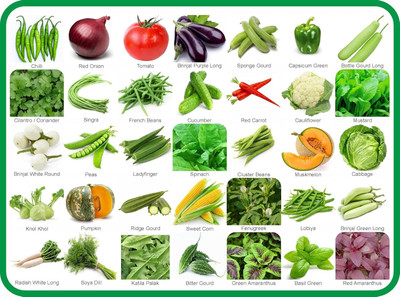 GROW-N-KNOW 35 Variety Of Vegetable Seeds Combo Pack With Instruction Manual Seed(35 per packet)
