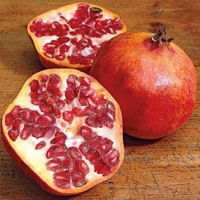 Qualtivate VVI-64 Dwarf Pomegranate Fruit Tree Seeds Seed(25 per packet)