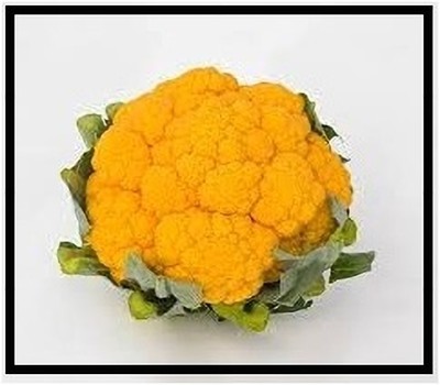 Qualtivate LXI-337 GREEN CAULIFLOWER (GOBHI) SEEDS Seed(200 per packet)