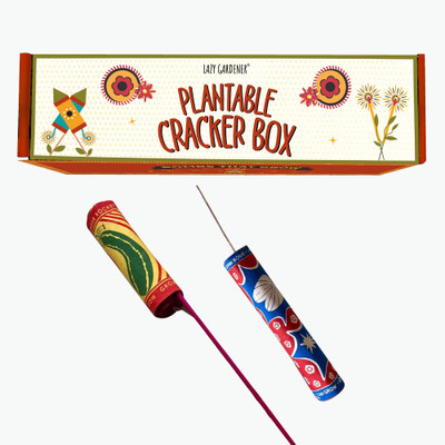 lazy gardener Plantable Shape Crackers Gift Box|Diwali Themed Plantable Seed Cracker Go Green| Seed(2 per packet)