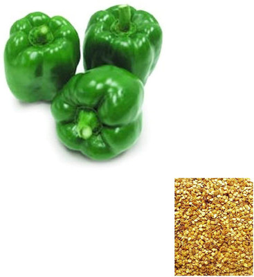 CYBEXIS XL-29 - Bellpepper Capsicum Green - (1350 Seeds) Seed(1350 per packet)