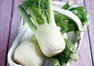 CYBEXIS NBIR-42 - Sweet Fennel - (750 Seeds) Seed(750 per packet)
