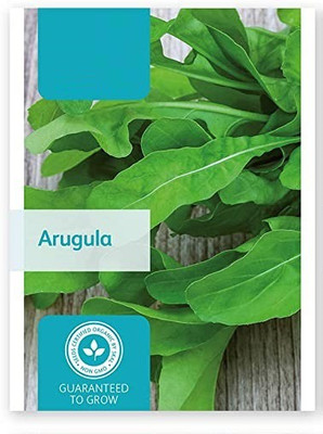 CYBEXIS Arugula 1400 Seeds Seed(1400 per packet)