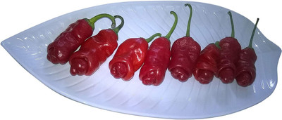 Biosnyg Non GMO Peter Pepper Red Hot Pepper Seeds For Planting-(1000 Seeds) Seed(1000 per packet)