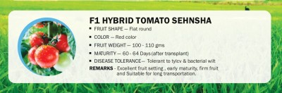 VibeX F1 HYBRID TOMATO SEHNSHA(2500 Seeds) Seed(2500 per packet)