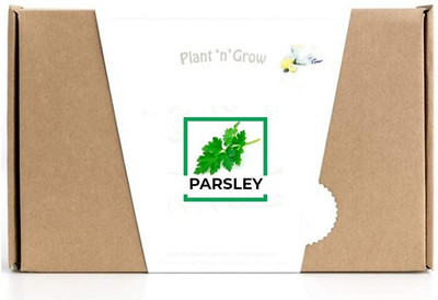 CYBEXIS Parsley1400 Seeds Seed(1400 per packet)