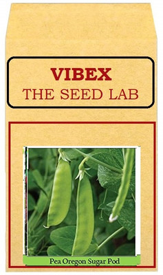 CYBEXIS Green Peas Hybrid Seeds400 Seeds Seed(400 per packet)