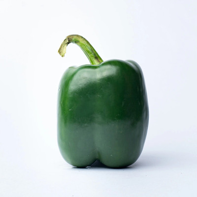 Quentova Capsicum Green Bell Pepper-2S-VS Seed(75 per packet)