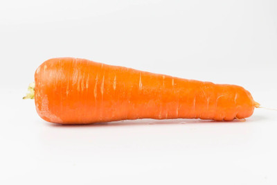 Quentova Orange Carrot विलायती गाजर-5A-KTL Seed(200 per packet)