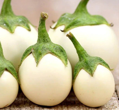 UGRA Brinjal/Eggplant Vegetable Seed(400 per packet)