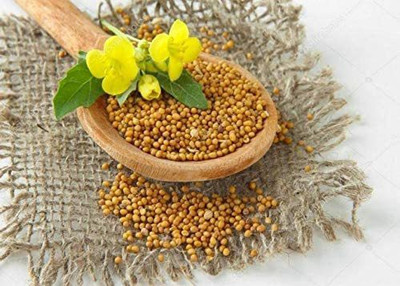 CYBEXIS TLX-7 - Yellow Mustard Non GMO - (250 Seeds) Seed(250 per packet)