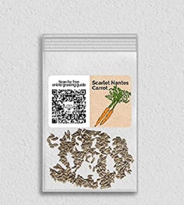 Biosnyg IAIR-37 Scarlet Nantes Carrot-[800 Seeds] Seed(800 per packet)