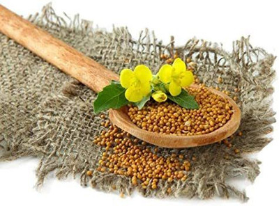 CYBEXIS TLX-75 - Yellow Mustard Non GMO - (2250 Seeds) Seed(2250 per packet)