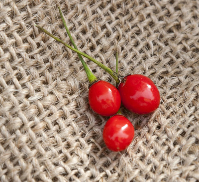 Qualtivate RES-1A Texas Chiltepin Pepper Chilli Seed(300 per packet)