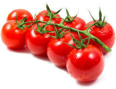 Oliver HYBRID F1 QUALITY TOMATO SEEDS Seed(20 per packet)