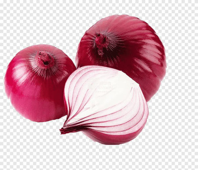 WILLVINE XL-1369 Red Onion Seeds Hybrids F1-1500 Seeds Seed(1500 per packet)