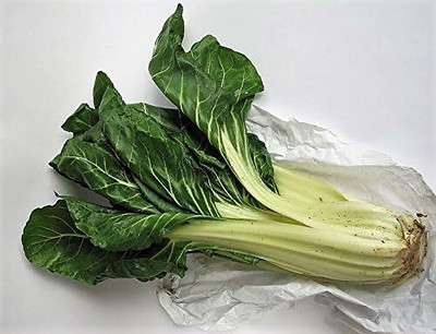 WILLVINE Beta Vulgaris Perpetual Spinach SWISS CHARD -[1500 Seeds] Seed(1500 per packet)