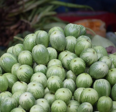 UGRA Green Small Round Thai Eggplant Seed(200 per packet)