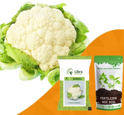 NATURAL AND HERBAL PRODUCTS Cruciferous Seeds for Planting | Cauliflower | Phool Gobi | Fulavar | Eating Seed(5 g)