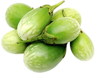 BDSresolve american big green brinjal seeds / brinjal seeds 48 Seed(48 per packet)