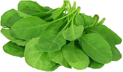 BDSresolve hybrid palak seeds/palak seeds 1120 Seed(1120 per packet)