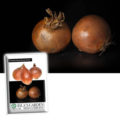 WILLVINE VNR -I Sweet Spanish Onion Seeds [5g] Seed(3000 per packet)