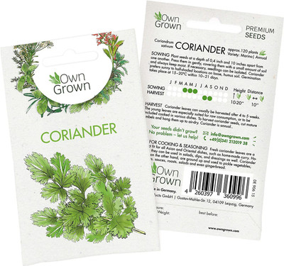 CYBEXIS Coriander Seeds (Coriandrum sativum)700 Seeds Seed(700 per packet)