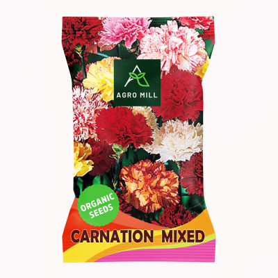 AGRO MILL CARNATION/DIANTHUS MIXED PREMIUM QUALITY FLOWER Seed(20 per packet)