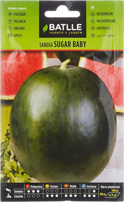 KNESSiN F1 Hybrid Sugar Baby Watermelon Fruit Seeds For Gardening-(50 Seeds) Seed(50 per packet)