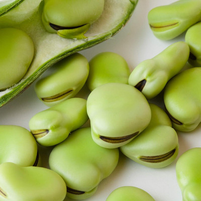 DIVINE BEANS Seed(100 per packet)