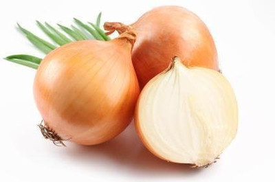 VibeX ® VLR-938 SWEET YELLOW SPANISH ONION Seed(1000 per packet)