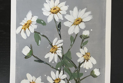 Mozette Exotic daisy white Seed(17 per packet)