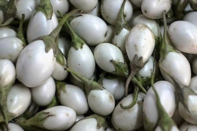 KANAYA Brinjal White Round Eggplant Hybrid Seed(95 per packet)