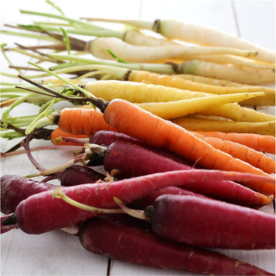 CYBEXIS TLX-7 - Rainbow Carrot - (2250 Seeds) Seed(2250 per packet)
