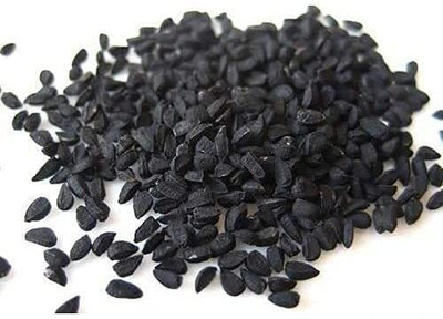 WILLVINE XL-870 Onion Seeds/Pyaz Seed-3000 Seeds Seed(3000 per packet)