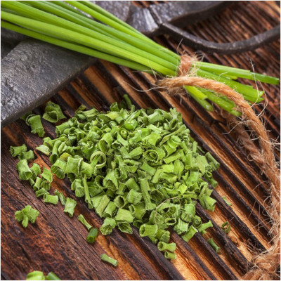 CYBEXIS KGF -37 - Chives - (2250 Seeds) Seed(2250 per packet)