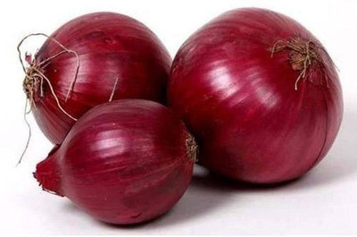 WILLVINE XLR-1393 Onion Red F1 Hybrid Seeds-3000 Seeds Seed(3000 per packet)