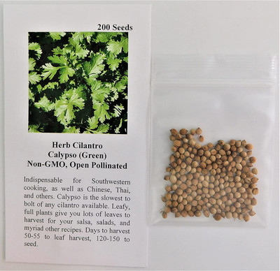 CYBEXIS TLX-24 - Cilantro Culinary Herb - (250 Seeds) Seed(250 per packet)
